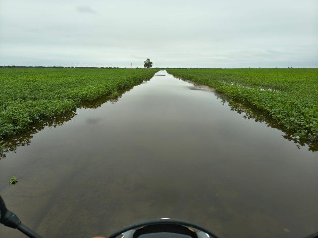 La emergencia agropecuaria en los campos inundados se extiende hasta el 30 de septiembre.