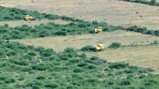 La partidocracia anda enredada en su burocracia