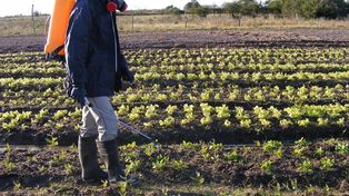 Agroquímicos: el debate pasa para el jueves 1, con un posible acuerdo