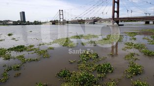 En Santa Fe, el río Paraná está a 33 centímetros del nivel de alerta