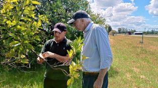 El ministro de Desarrollo Económico, Guillermo Bernaudo, se reunió con productores para dialogar sobre el combate al HLB y a la mosca de los frutos.