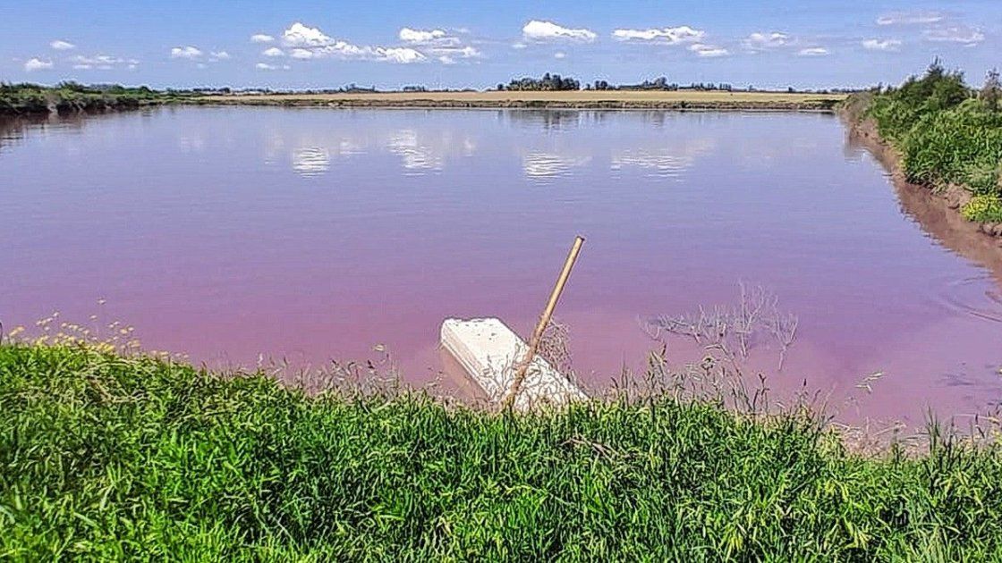 Arroyo Espinillo: analizan el agua y refuerzan la vigilancia,
