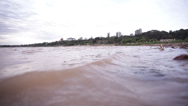 Río Paraná: pocas lluvias y niveles muy bajos hasta junio