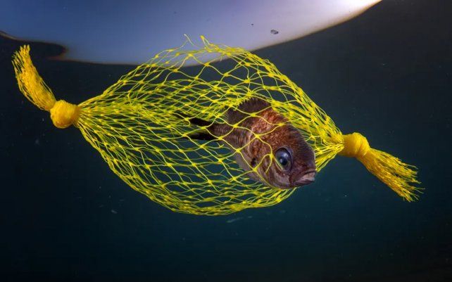 The Yellow Candy de Pasquale Vassallo (Italia), tomada en Campi Flegrei, Italia.