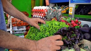 Verduras de hoja escasean