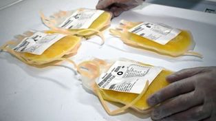 Entró en vigencia la Ley donación de plasma sanguíneo&nbsp;