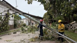 El temporal provocó importantes daños materiales en Alvear.