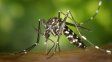 Baja la cantidad de casos de dengue en Santa Fe