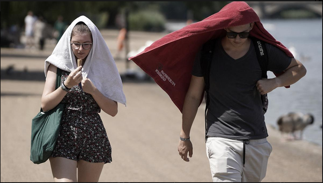 El verano europeo 2022 fue el más caluroso de la historia y dejó más de 60 mil muertos