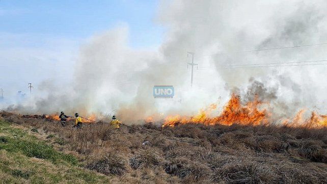 Dramático. Las quemas ilegales arrasaron con miles de hectáreas en el Delta entrerriano.