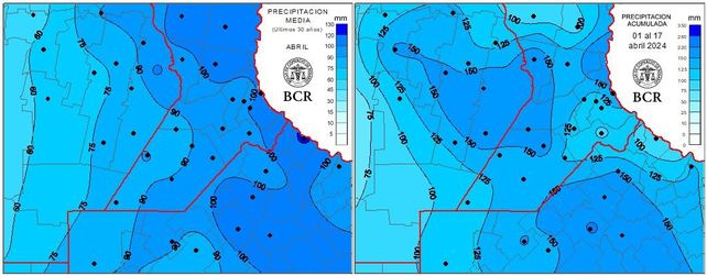 Las lluvias abren una gran oportunidad para el trigo 24/25