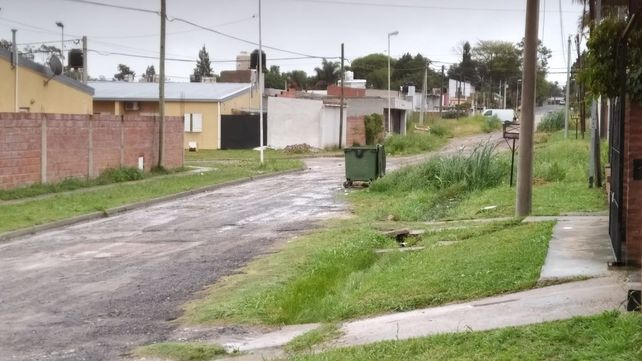 Piden fumigaciones en barrio Los Paraísos