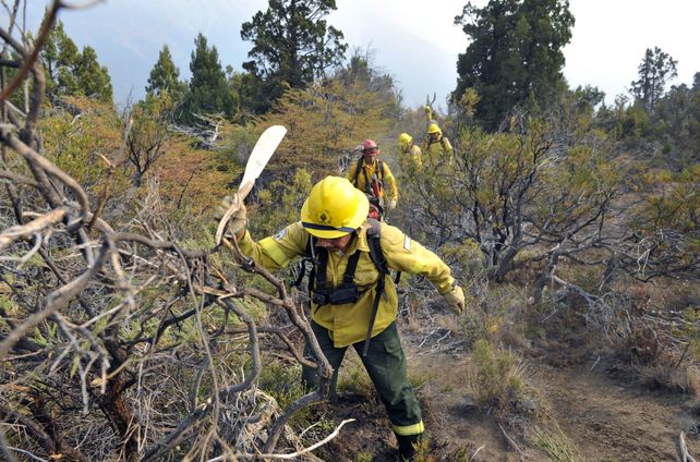 algo de paz. Los brigadistas aprovecharon ayer la lluvia y la baja de la temperatura en su lucha contra el fuego.