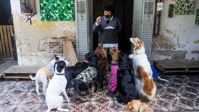 Jóvenes y mascotas: una relación que se afianza y hasta cambia el mercado