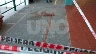 “He tenido a los chicos panza al suelo con las TOE en el aula”
