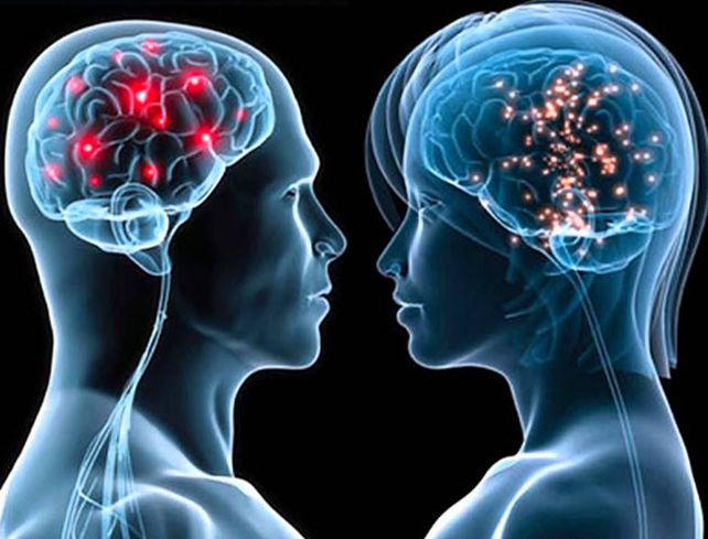 Las diferencias en el comportamiento entre hombres y mujeres