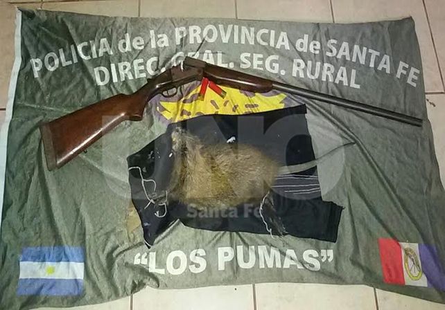 Operativos contra la depredación de la flora y fauna santafesina con resultados positivos