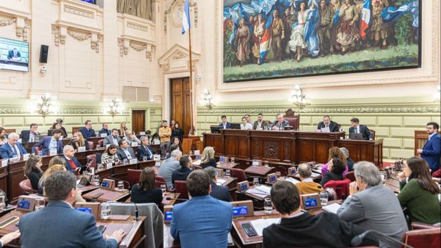 La nueva Constitución provincial está lista
