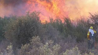 Los incendios forestales se extienden en Río Negro y causaron dos muertes