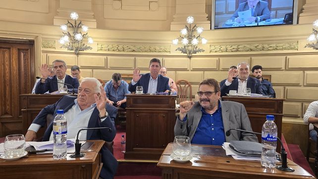 El bloque de senadores provinciales del peronismo se posiciona de cara a la inminente reforma electoral en Santa Fe.