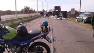 Volcó un camión cargado con pollitos bebé en la ruta 168