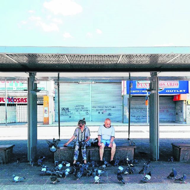Palomas. Foto de Cristian López Brach.