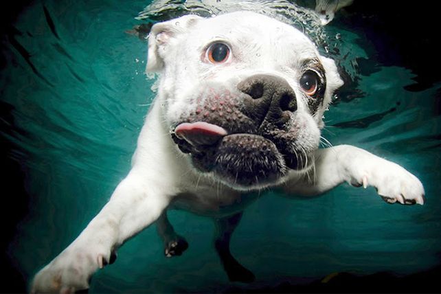 Diversión bajo el agua