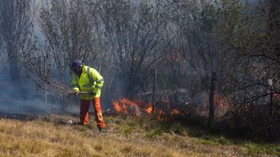Los hechos por los que se condenó a los apicultores se desarrollaron en agosto del 2022, momento en el que los incendios en las islas se tornaron incontrolables.