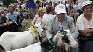 Otras misses: en Lituania los jurados premian a las m&aacute;s bellas cabras