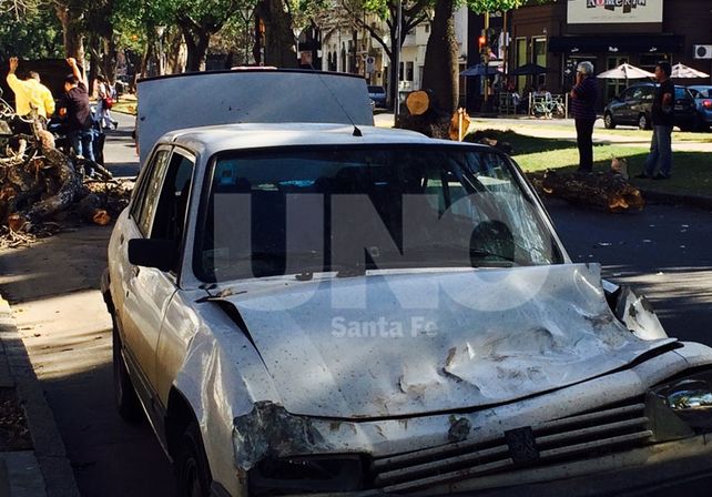 Cayó un árbol sobre un auto en pleno Bulevar