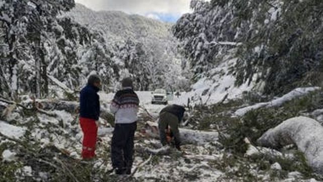 Ruta 40. El 23 de julio se derrumbó una parte de la montaña.&nbsp;
