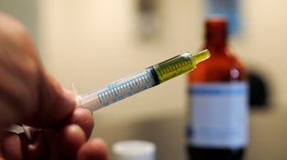 En una semana saldría la ley de producción industrial de cannabis medicinal