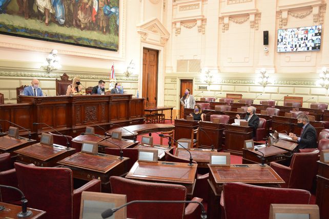 Senadores y diputados sellaron la suerte del ahora ex fiscal de Venado Tuerto.