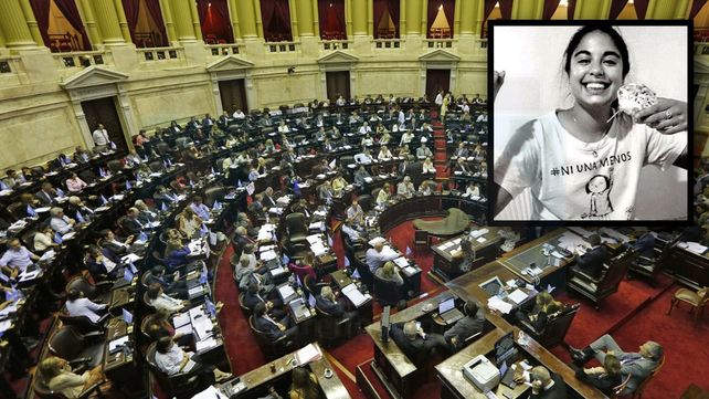 Diputados trata hoy la Ley Micaela sobre violencia de género