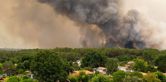 El humo se eleva sobre los incendios forestales en la región de Lège-Cap-Ferret, en el oeste de Francia, el jueves 23 de julio de 2026. (Foto AP/Caroline Blumberg)