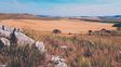 Sudamérica perdió el 20% de pastizales por el avance agrícola