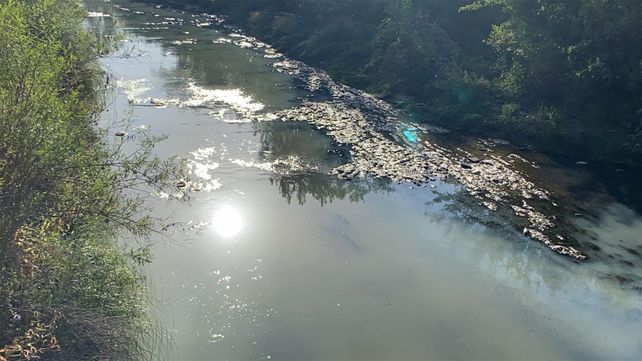 Las aguas bajan turbias en el arroyo Ludueña.&nbsp; Olor nauseabundo y acumulación de residuos