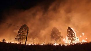 Los focos ígneos fueron sofocados por los Bomberos de Federación con abastecimiento de agua de la Municipalidad local y vecinos