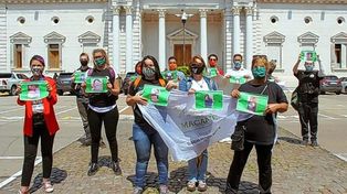 Autoabastecimiento de cannabis: El Senado provincial tiene una deuda con las madres