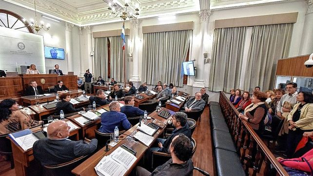 El Senado tiene prevista una intensa agenda: se abordará la creación de cargos en la Cafesg.