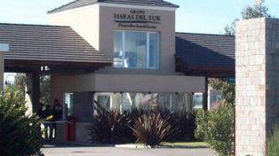 Un hombre fue hallado muerto flotando en la pileta de su casa en un country de La Plata