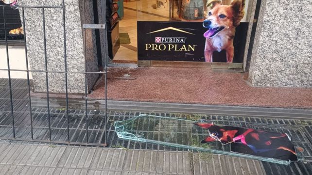 Los delincuentes rompieron la reja y violentaron el blindex de la veterinaria de San Luis al 600 para poder ingresar.&nbsp;