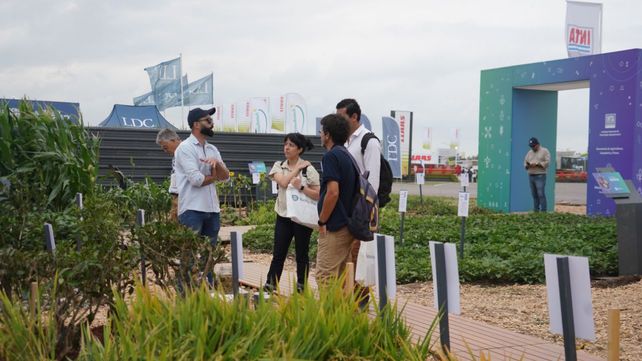 Los visitantes también pudieron apreciar la diversidad del agro argentino en el stand del Inta