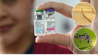 Dengue: prevención frente a una amenaza global en expansión Dengue: prevención frente a una amenaza global en expansión