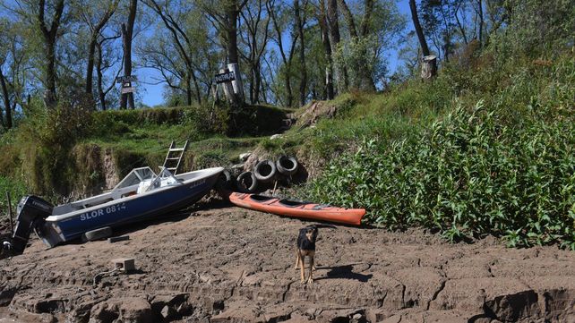 La pandemia permite reconocer que la educación ambiental es necesaria