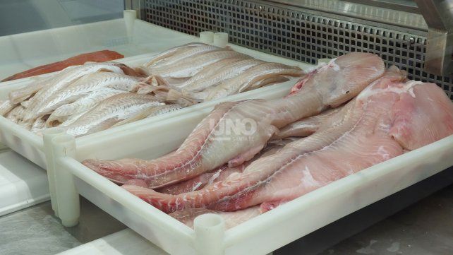 Productos de la pescaderías Productos de la pescaderías