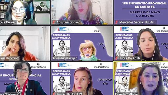v&iacute;a zoom. Diputadas provinciales participaron de una conferencia virtual en plena cuarentena.