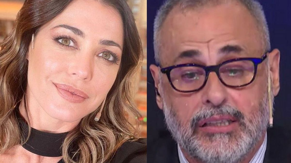 Pamela David no dudó en calificar a Jorge Rial: Es un provocador