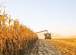 Fuerte malestar del campo santafesino por la suba de retenciones: Muchos productores se están fundiendo