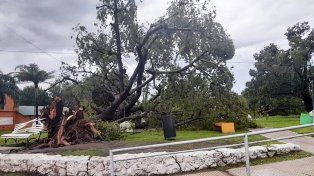 Una tormenta de viento y lluvia golpeó parte de la provincia de Entre Ríos y causó daños en Piedras Blancas, departamento La Paz